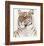 Royal Bengal Tiger-Sean Bollar-Framed Collectable Print