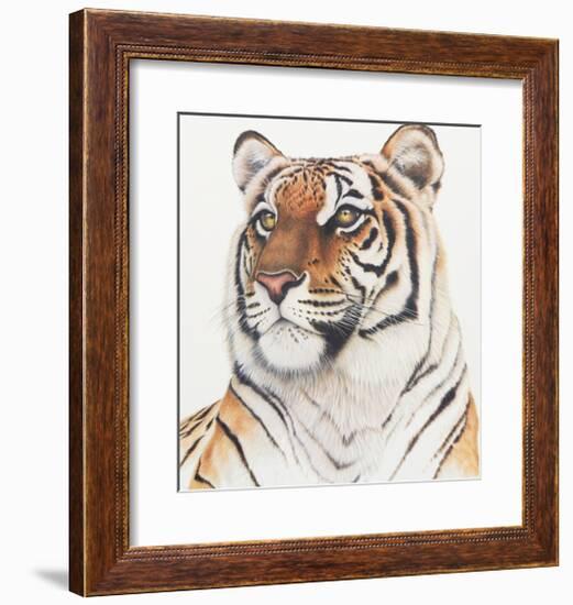 Royal Bengal Tiger-Sean Bollar-Framed Collectable Print