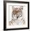 Royal Bengal Tiger-Sean Bollar-Framed Collectable Print