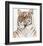 Royal Bengal Tiger-Sean Bollar-Framed Collectable Print