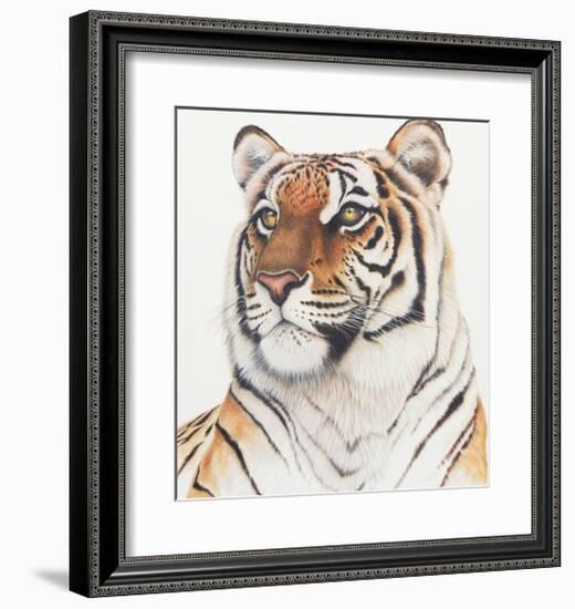 Royal Bengal Tiger-Sean Bollar-Framed Collectable Print