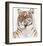 Royal Bengal Tiger-Sean Bollar-Framed Collectable Print