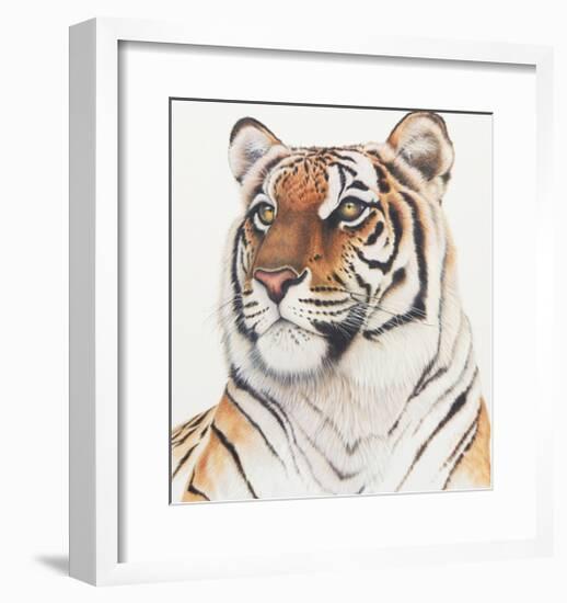 Royal Bengal Tiger-Sean Bollar-Framed Collectable Print