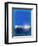 Royal Blue Abstract Study-Emma Moore-Framed Art Print