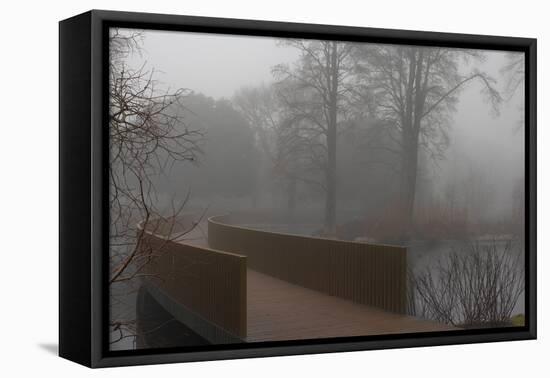 Royal Botanic Gardens, Kew, London. the Sackler Crossing in Fog with Winter Trees-Richard Bryant-Framed Premier Image Canvas