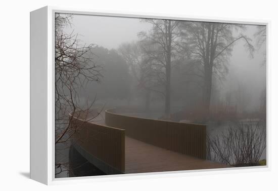 Royal Botanic Gardens, Kew, London. the Sackler Crossing in Fog with Winter Trees-Richard Bryant-Framed Premier Image Canvas