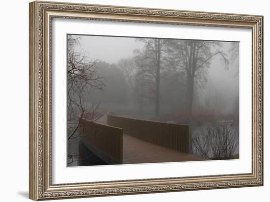 Royal Botanic Gardens, Kew, London. the Sackler Crossing in Fog with Winter Trees-Richard Bryant-Framed Photographic Print