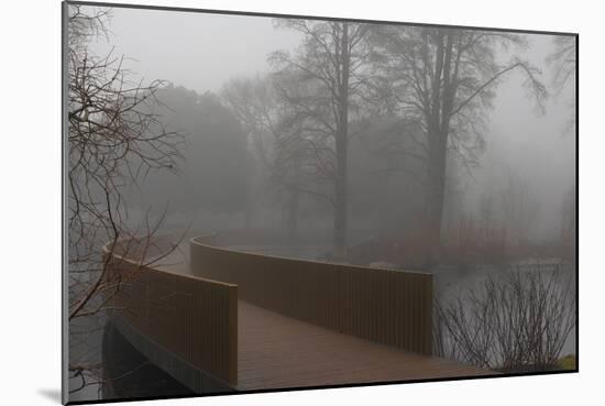 Royal Botanic Gardens, Kew, London. the Sackler Crossing in Fog with Winter Trees-Richard Bryant-Mounted Photographic Print