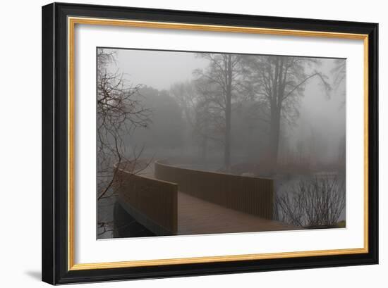 Royal Botanic Gardens, Kew, London. the Sackler Crossing in Fog with Winter Trees-Richard Bryant-Framed Photographic Print