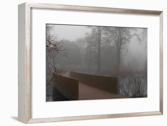 Royal Botanic Gardens, Kew, London. the Sackler Crossing in Fog with Winter Trees-Richard Bryant-Framed Photographic Print