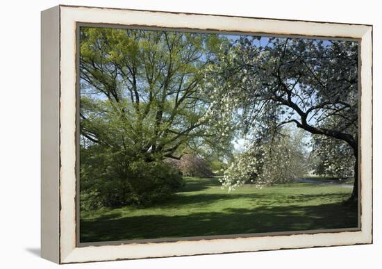 Royal Botanical Gardens, Kew, London. Spring-Richard Bryant-Framed Premier Image Canvas