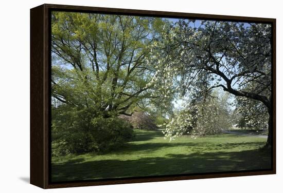 Royal Botanical Gardens, Kew, London. Spring-Richard Bryant-Framed Premier Image Canvas