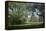 Royal Botanical Gardens, Kew, London. Spring-Richard Bryant-Framed Premier Image Canvas