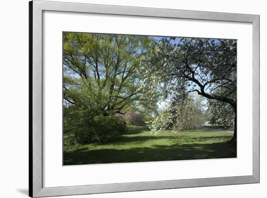 Royal Botanical Gardens, Kew, London. Spring-Richard Bryant-Framed Photographic Print