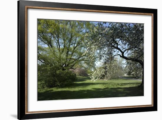 Royal Botanical Gardens, Kew, London. Spring-Richard Bryant-Framed Photographic Print