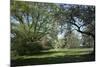 Royal Botanical Gardens, Kew, London. Spring-Richard Bryant-Mounted Photographic Print