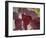 Royal Burgundy Leaves II-Nicole Katano-Framed Photo