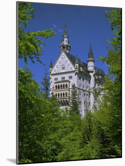 Royal Castle, Neuschwanstein, Bavaria, Germany, Europe-Gavin Hellier-Mounted Photographic Print