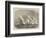 Royal Cinque Ports Yacht Club, Start for the Race from Dover to Boulogne-Edwin Weedon-Framed Giclee Print