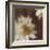 Royal Clematis I-Janel Pahl-Framed Giclee Print