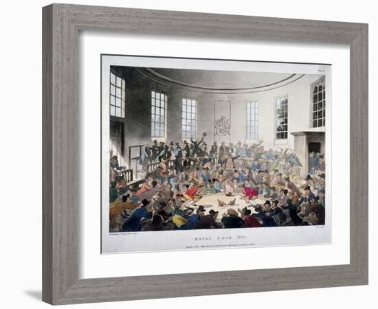 Royal Cock Pit, 1808-Augustus Charles Pugin-Framed Giclee Print