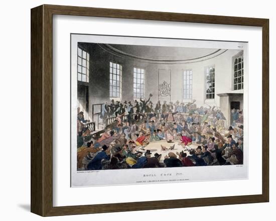 Royal Cock Pit, 1808-Augustus Charles Pugin-Framed Giclee Print