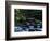 Royal Creek, OR-Frank Staub-Framed Photographic Print