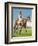 Royal Danieli, Jockey: D. Moore', 1939-Unknown-Framed Giclee Print