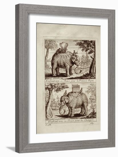 Royal Elephants, from 'Voyage Du Siam Des Peres Jesuites' by Guy Tachard, 1688-null-Framed Giclee Print