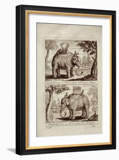 Royal Elephants, from 'Voyage Du Siam Des Peres Jesuites' by Guy Tachard, 1688-null-Framed Giclee Print