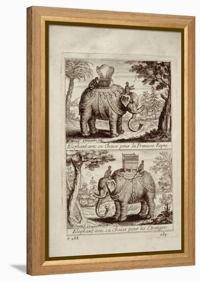 Royal Elephants, from 'Voyage Du Siam Des Peres Jesuites' by Guy Tachard, 1688-null-Framed Premier Image Canvas