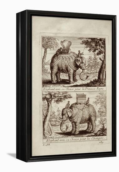 Royal Elephants, from 'Voyage Du Siam Des Peres Jesuites' by Guy Tachard, 1688-null-Framed Premier Image Canvas