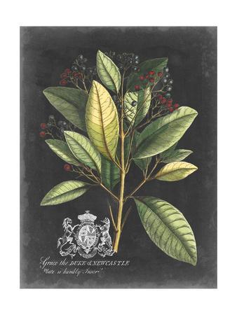 Royal Foliage IV Canvas Art Print