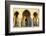 Royal Guard on Duty at Mausoleum of Mohammed V, Rabat, Morocco, North Africa, Africa-Neil Farrin-Framed Photographic Print