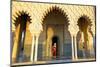 Royal Guard on Duty at Mausoleum of Mohammed V, Rabat, Morocco, North Africa, Africa-Neil Farrin-Mounted Photographic Print