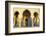 Royal Guard on Duty at Mausoleum of Mohammed V, Rabat, Morocco, North Africa, Africa-Neil Farrin-Framed Photographic Print