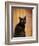 Royal Kitten-Jai Johnson-Framed Giclee Print