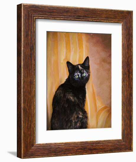 Royal Kitten-Jai Johnson-Framed Giclee Print