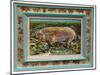 Royal Mangalitzer Pig-Alex Williams-Mounted Giclee Print