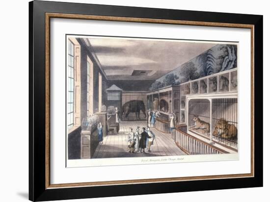 Royal Menagerie, Exeter Change, Strand, London, C1820-Thomas Rowlandson-Framed Giclee Print