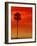 Royal Palm in Everglades-Joe McDonald-Framed Photographic Print