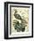 Royal Peacock-Chariklia Zarris-Framed Premium Giclee Print