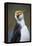 Royal Penguin-AndreAnita-Framed Premier Image Canvas