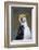 Royal Penguin-AndreAnita-Framed Photographic Print