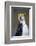 Royal Penguin-AndreAnita-Framed Photographic Print