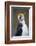 Royal Penguin-AndreAnita-Framed Photographic Print