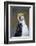 Royal Penguin-AndreAnita-Framed Photographic Print