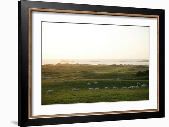 Royal Portrush Golf Club-Stephen Szurlej-Framed Premium Photographic Print