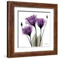 Royal Purple Gentian Trio-Albert Koetsier-Framed Art Print