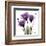 Royal Purple Gentian Trio-Albert Koetsier-Framed Art Print